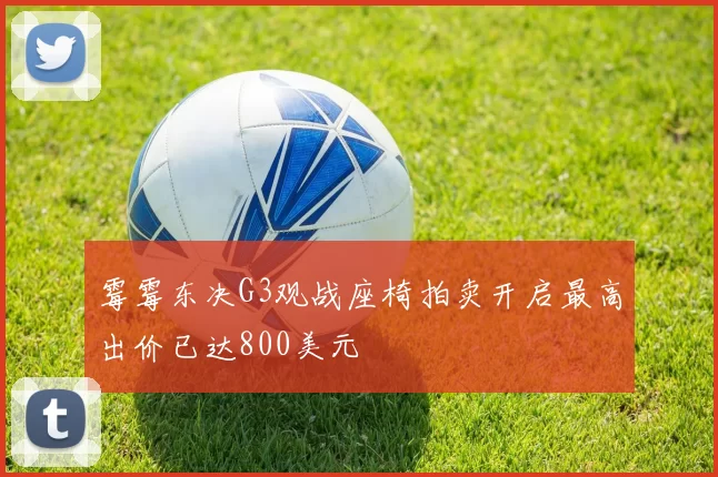 霉霉东决G3观战座椅拍卖开启最高出价已达800美元