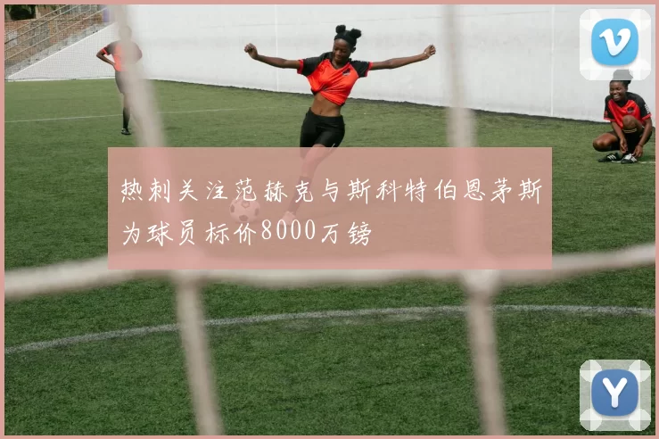热刺关注范赫克与斯科特伯恩茅斯为球员标价8000万镑