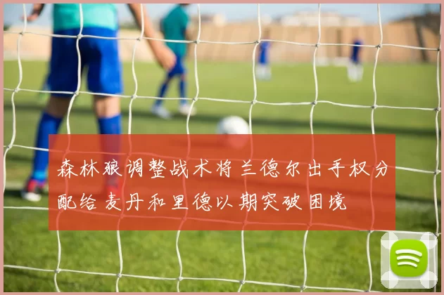 森林狼调整战术将兰德尔出手权分配给麦丹和里德以期突破困境